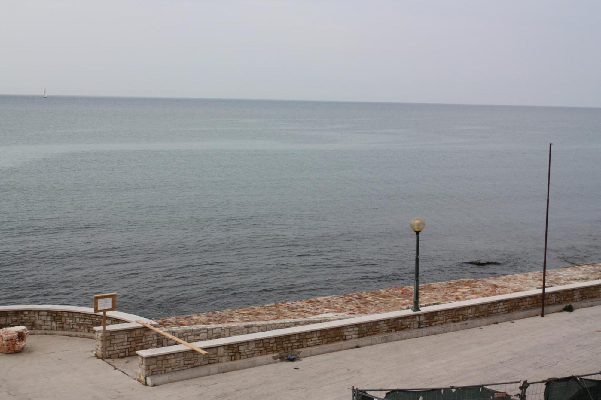 Novigrad Istria Apartments Tomato מראה חיצוני תמונה